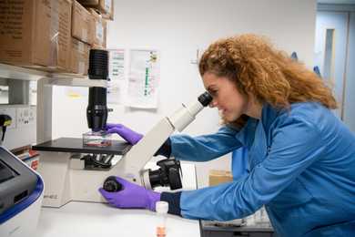 A Researcher in the laboratory
