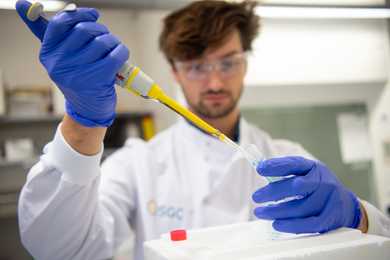 A second Researcher in the laboratory